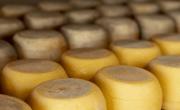 Brote de listeriosis en la provincia de Buenos Aires vinculado a queso criollo