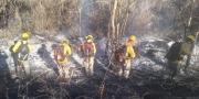 Controlan el 80% del incendio forestal que afecta al Parque Noel Kempff Mercado