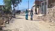 Cochabamba: Denuncian que perros atacaron e hirieron a una mujer
