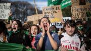 Greenpeace repudió el espionaje a ambientalistas por parte de la SIDE