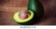 Por qué aconsejan mezclar el carozo de la palta con shampoo y qué beneficio tiene