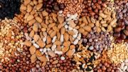 ¡El dato increíble para tu salud! Estas son las semillas que tienen más proteínas que la carne: revisa la lista y sal ya a comprarlas