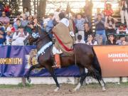 El concurso de Caballos Peruanos de Paso tendrá varios campeones nacionales
