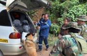 Can antidroga “Xhira” descubre marihuana oculta entre mandarinas