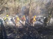 Controlan 80% del incendio forestal en el Parque Noel Kempff Mercado