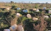 Saladillo: hallan bidones con químicos peligrosos y activan protocolo ambiental