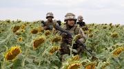 Sicarios latinoamericanos hacen pasantías en el Ejército ucraniano