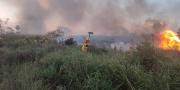 Activan alertas roja y naranja en 66 municipios por riesgo de incendios