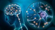 Innovación en la neurociencia: científicos logran convertir el pensamiento en palabras