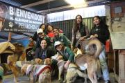Brigadas de sostenibilidad de SOBOCE llevan calor y esperanza a perros de albergues y en situación de calle