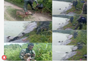 Funcionarios de la GNB rescataron a dos perros que cayeron en laguna de refinería en Anzoátegui