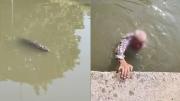 Rescataron a un abuelito en un lago lleno de cocodrilos, estaba desaparecido y lo identificaron tras un video viral