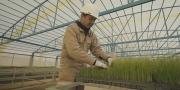 Construcción y equipamiento de Plantinera de Hortalizas en Aiquile tiene 87% de avance