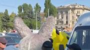 Pikachu, Labubu y un oso son detenidos: conozca la insólita razón