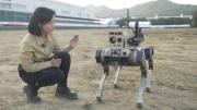 Pueden asustar a sus enemigos: así funcionan los nuevos lobos robot del Ejército chino