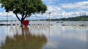 Río Orinoco alcanza la alerta roja en Ciudad Bolívar: más de 600 familias permanecen afectadas – Correo del Caroní