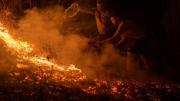 Incendios forestales en España y Portugal: conozca cuántas hectáreas de terreno se han consumido