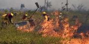 Bolivia registra 1.850 focos de calor, el 77% se concentra en Santa Cruz