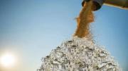 Sector agropecuario: de una inversión, el 20% es capital propio y 70-80% es financiamiento”