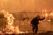 Unas 250.000 hectáreas quemadas en España, que estimaciones de la UE elevan a 344.000 ha