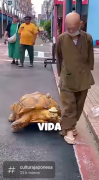 (VIDEO) 10 records mundiales que Japón todavía mantiene hoy