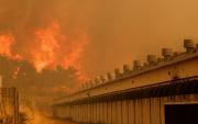 Al menos seis muertos por incendios históricos en España y Portugal – Correo del Caroní