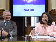 Senado: emergencia pediátrica y refuerzo para las universidades