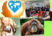 Efemérides del 19 de agosto: Día Mundial del Orangután