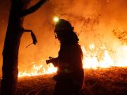 España declara zona catastrófica las áreas afectadas por los incendios: Quedan horas difíciles, admite Pedro Sánchez