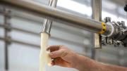 Leche cruda en Florida: ¿Cómo un vaso desencadenó muertes y hospitalizaciones?