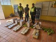 Encuentran 26 paquetes de droga en cajas con tomates que pretendían ser enviadas de Caranavi a Yucumo