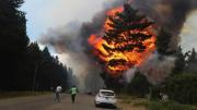 Incendios forestales en la Argentina: reflexiones y desafíos en el Día Internacional de la Prevención de Incendios Forestales