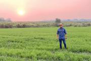 Daniel Morillo, CEO del grupo empresarial MS: El agro no es atraso, es futuro