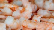 Camarones radiactivos causan pánico en Estados Unidos, esto es lo que debes saber ‘urgente'