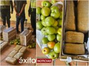 Hallan paquetes de marihuana camuflados en cajas de tomate en la terminal de Caranavi, una persona fue aprehendida