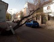 Tarija: Ventarrones movilizaron a varias unidades de emergencia