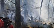 Gobierno declara emergencia nacional en Bolivia por incendios forestales