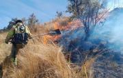 Gobierno declara emergencia nacional ante los incendios forestales