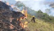 El gobierno declara emergencia nacional por los incendios forestales