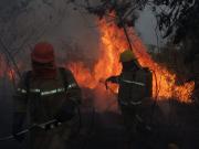 Bolivia reporta 720 focos de calor y 3 incendios forestales