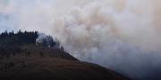 Decreto declara a Bolivia en situación de emergencia nacional por incendios forestales