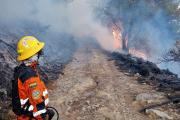 El Gobierno declara emergencia nacional por tres incendios forestales