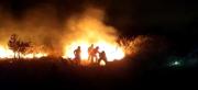 Bomberos que combaten incendios podrían no votar