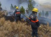 Incendio en el Parque Nacional Tunari arrasó 200 ha