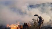 Acciones contra el incendio en el parque Tunari se centran en tareas de “enfriamiento”
