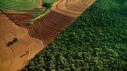Las autoridades brasileñas suspendieron una medida clave de protección de la selva amazónica 