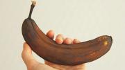La parte marrón de la banana, ¿se come o se tira? Esto dice la ciencia