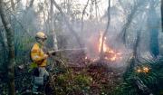 El Carmen Rivero Torrez y San Ignacio de Velasco se declaran en desastre por incendios forestales