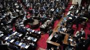 Diputados rechaza veto a pensiones por discapacidad