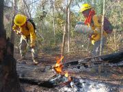 Decreto declara en situación de emergencia nacional por incendios